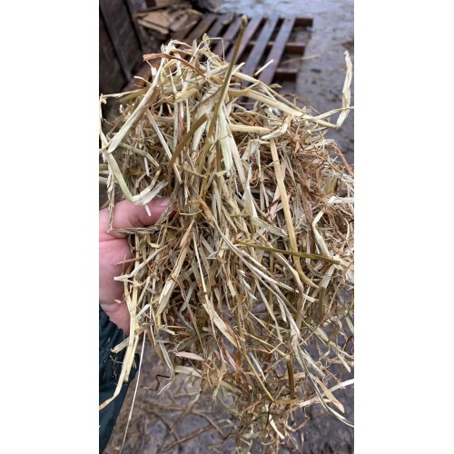 Buy Small Bale Haylage Onlinebroadfeed