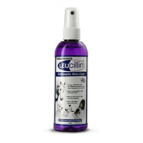 Buy Leucillin Antiseptic Spray at Broadfeed