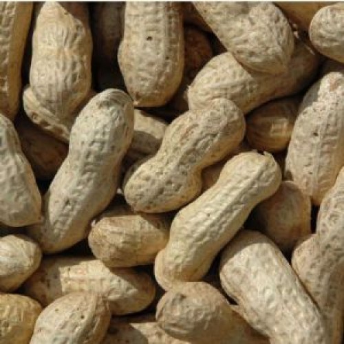 Monkey Nuts 1kg